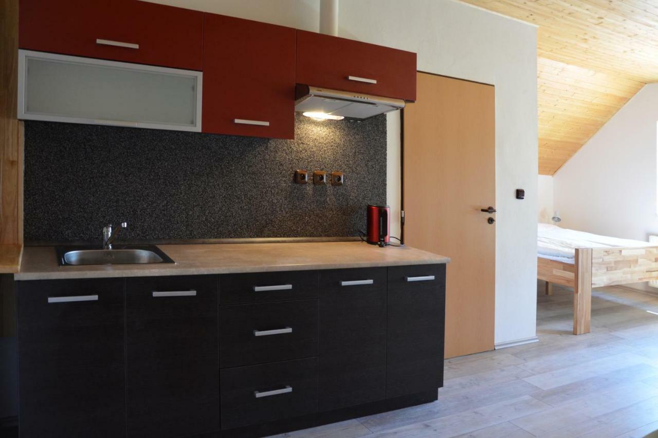Apartman U Brabcu 普拉查蒂斯 外观 照片